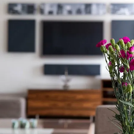 Apartamento Willa Haffnera *